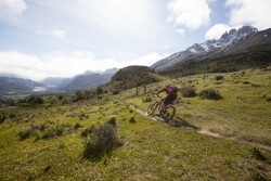Santa Cruz Hightower!